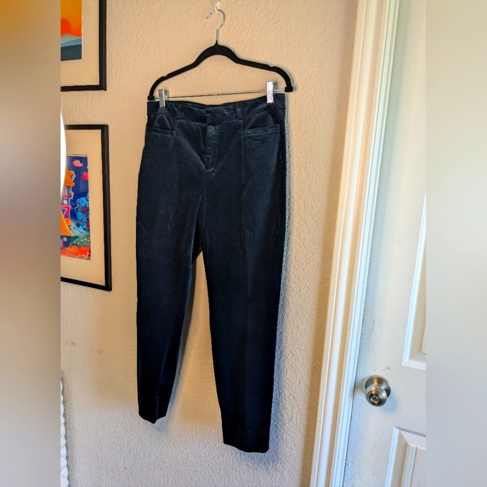 Banana Republic Velvet Black Sloan Skinny Pant Holiday Office NYE Size 10 Chic